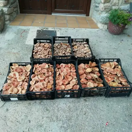 Pensión Paquita
